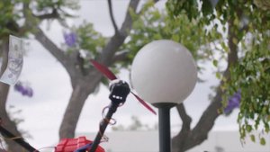 Aarons Animals - The New Adventures of Michael the Cat