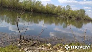 Карайганово, рыбалка, Хороший улов карасей. Папочка проснись!