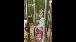 Смех да и только.