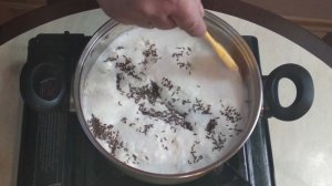 Домашний сыр из козьего молока