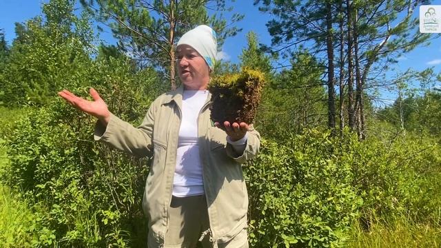 Экологическая тропа "Тайны болотных глубин". Галкинское болото