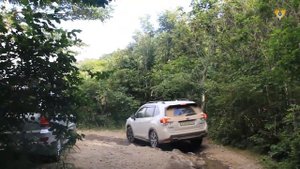 Пляжный отдых в Приморье l АНДРЕЕВКА l Витязь l БУХТА ТЕЛЯКОВСКОГО l БУХТА АСТАФЬЕВА