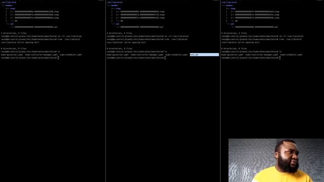ETCD Recovery From Majority Failure Using Snapshot Restore смотреть онлайн
