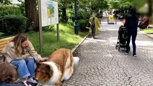 Кринж дня: японец, который ранее потратил около $20 000 на гиперреалистичный костюм собаки, вышел .