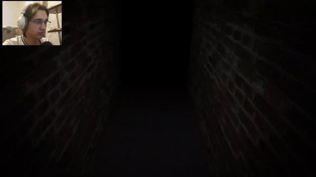 ВТОРОЙ ЗАХОД (ДЕМОН СТЕСНЯШКА) SCP 087-B