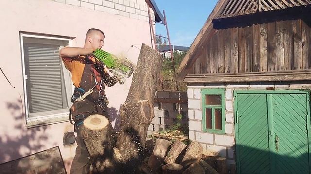 Бензопила Прокрафт 52 т против абрикосы смотреть онлайн