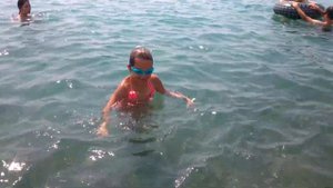 Pudiki купаются и ныряют в море. Гимнастика на воде