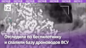 Птичка влипла, всей базе пропасть: «Мавик» ВСУ сдал пункт управления дронами — наши бойцы уничтожили