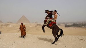 Как лошадь встает на дыбы. Видео с пирамид