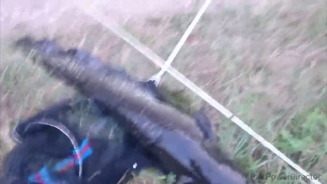 Silures à vue (catfish catch and release) смотреть онлайн