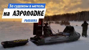 Рыбалка с аэролодкой на Обском водохранилище | В метель ловим окуня и судака