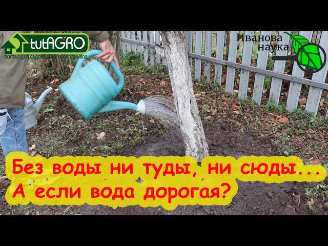ЗАРЯДИТЕ ДЕРЕВЬЯ и КУСТАРНИКИ НА ЗИМУ! Заряд почвенной влаги для сада. Что можно вместо полива?