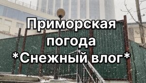 Пошли на выборы президента России и попали с в снежную метелицу. Причудливая погода. 17 марта 2024 г