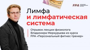 Лимфа и лимфатическая система | Владимир Меркурьев (FPA)