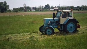 Косовиця 2022 ЮМЗ 6 на заготівлі сіна косарка ВІРАКС Wirax