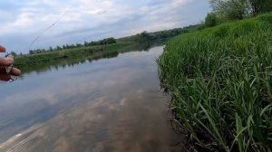 Вечерняя ловля на спиннинг. Москва-река радует  поклëвками.