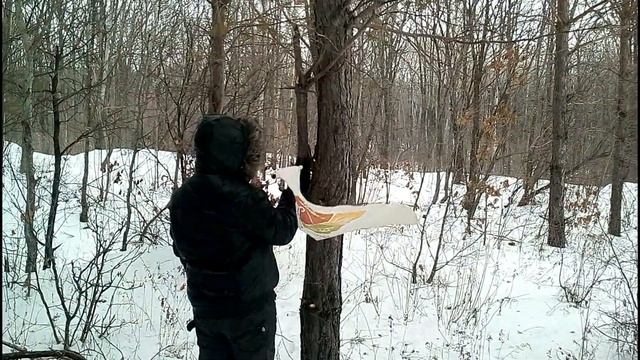 Пешком в Ельник 8 км за 80 мин (Спасск-Дальний)