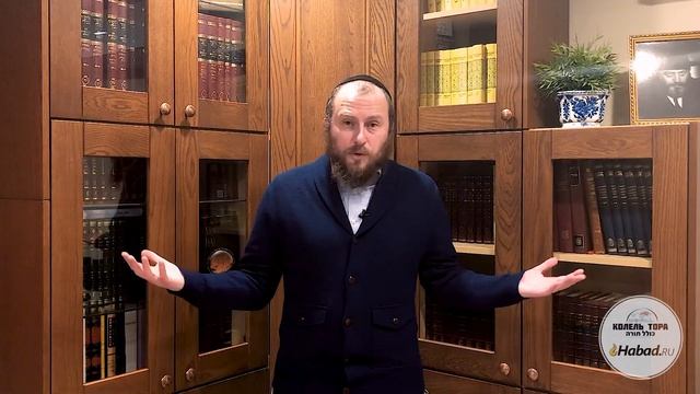 Экзальтированный Специалист. Недельная глава Торы "Ваякгэль" смотреть онлайн