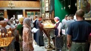Акафист святому Луке Крымскому у раки с мощами!