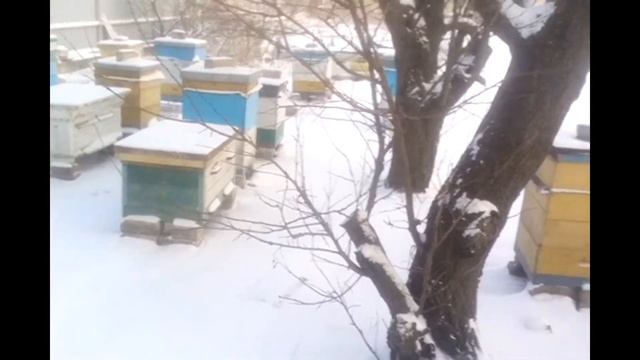 ПРИЧУДЫ ПРИРОДЫ