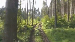 Бывший муж замахнулся, чтобы ударить по лицу еще сильнее, но вдруг    Любовная история