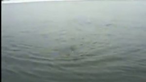 Поймать тайменя.  Как местные жители ловят и вываживают огромных рыбин. Зима и спининг на реке Томь