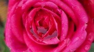 Молитва Матушке - Земле