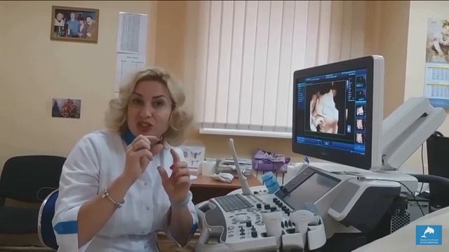Мальчик или девочка, как определить пол будущего ребёнка.