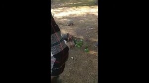 Шармакс 9.9 15 л.с обкатка пройдена мотор класс!!!