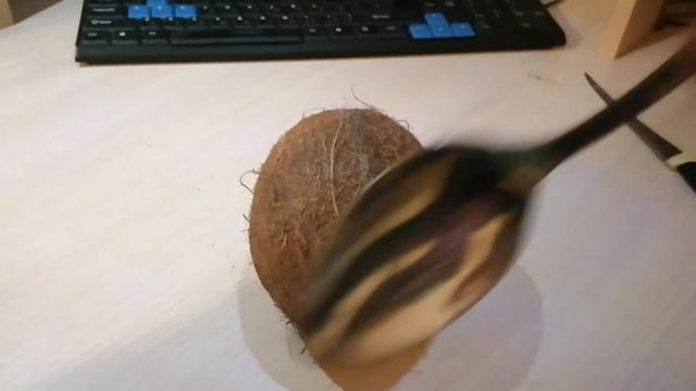 КАК ОТКРЫТЬ КОКОС ЛАЙФХАК КОТОРЫЙ УПРОСТИТ ВАШУ ЖИЗНЬ!
лайфхак как lifehaks советы