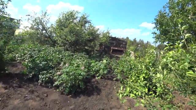 Банная дача, дачная баня.