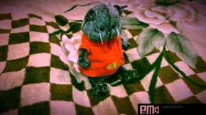 Котик басик. Мягкая игрушка. Первое знакомство с басиком