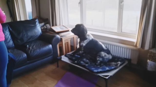 Boundary Games Session 1 - Mazy смотреть онлайн