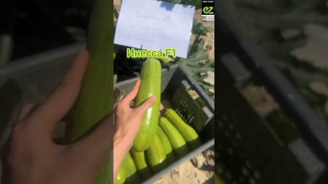 Новинка ???