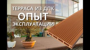Терраса из ДПК доски год спустя