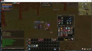 Lineage 2 Reborn (L2Reborn)