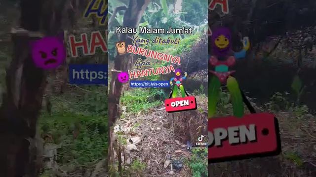 Cewek Hijaber Open BO- Meme Kalau Malam Jumat itu Yang Ditakuti Burungnya atau Hantunya -Suara Horor