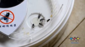 Автоматическая USB мухоловка "Fly Trap"