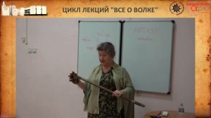 Александра Баркова: "Волк в мифологии индоевропейцев"
