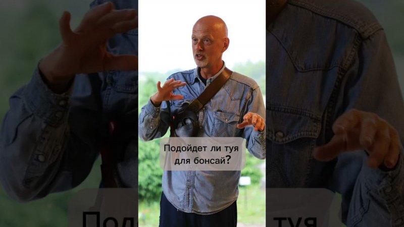 Подойдет ли туя для бонсай? #бонсай #bonsai #ниваки #сад #андрейдарусенков #хвойные