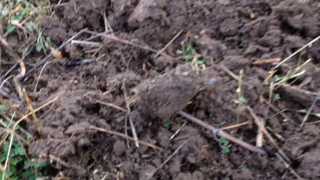 Коп 2. Поле Анны Иоановны - 12. смотреть онлайн