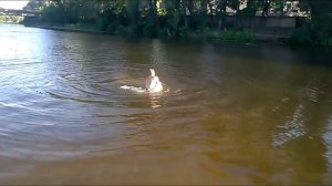 ВСПЛЫЛ ТРУП НА РЕЧКЕ/УТОПИЛИ!!!