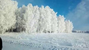 447Долгожданная встреча❤️  Сибирская красота с. Большие Уки Омская область