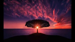 Mansur Chikhalov - Dido Anam Dido