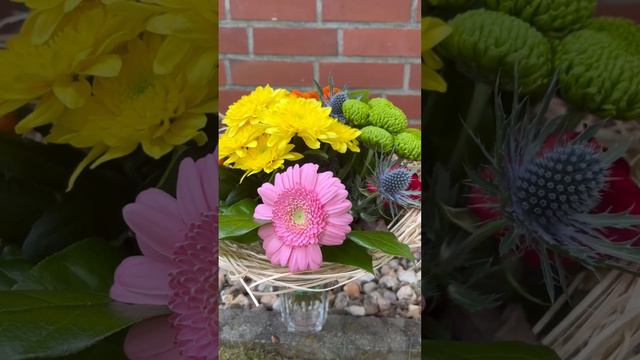 💐квіточки #flowers #dekorieren #flower #троянди #букет #douche #хризантема #букетназаказ смотреть онлайн