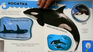 Про белого медведя и не только изд. Азбукварик