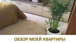 РУМ ТУР.  ОБЗОР  КВАРТИРЫ