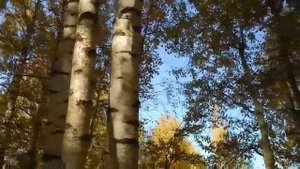 Л.Рубальская. Сегодня Осень в дверь мне позвонила. Читает Людмила Герасимова