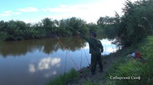Карась на Соску/Отличный Клёв/Рыбалка на Реке Каргат