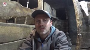 Опорос у свиноматки породы дюрок